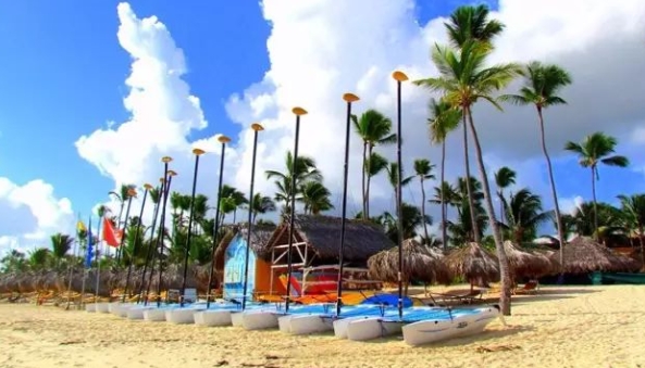 多米尼加海关数据查询平台（附免费试用查询名额）